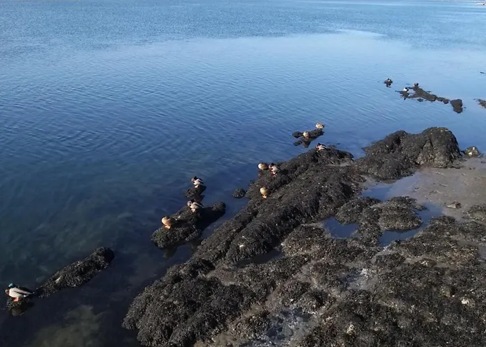 Casa Dos Pescadores Prázdninový dům *